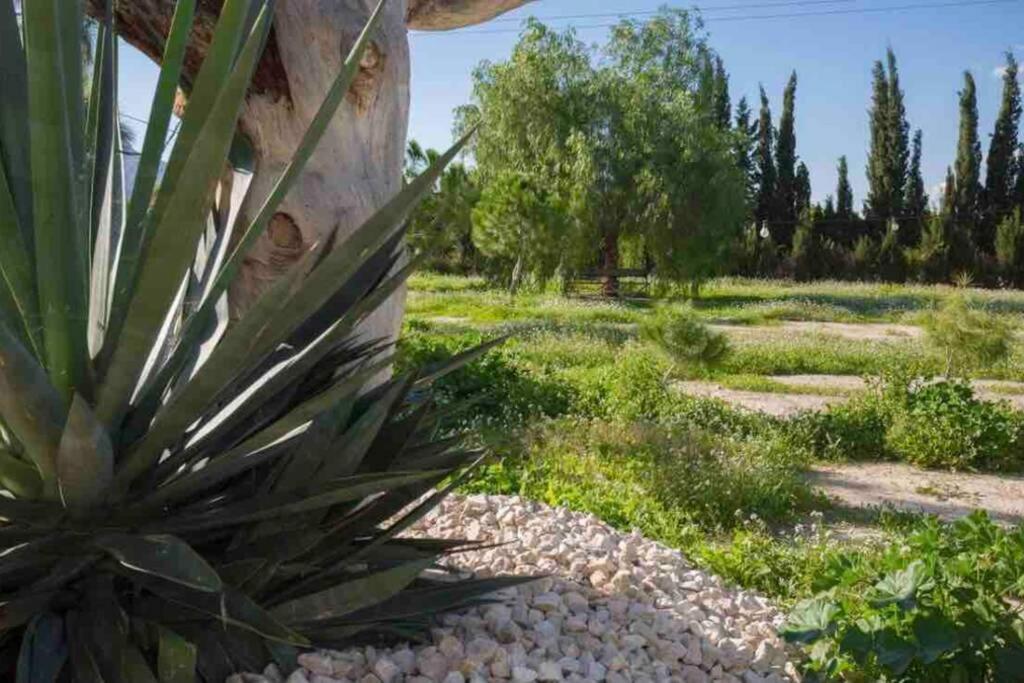 מורסיה Villa Fina מראה חיצוני תמונה